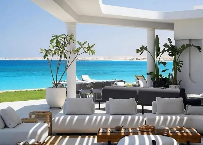 White فيلة *